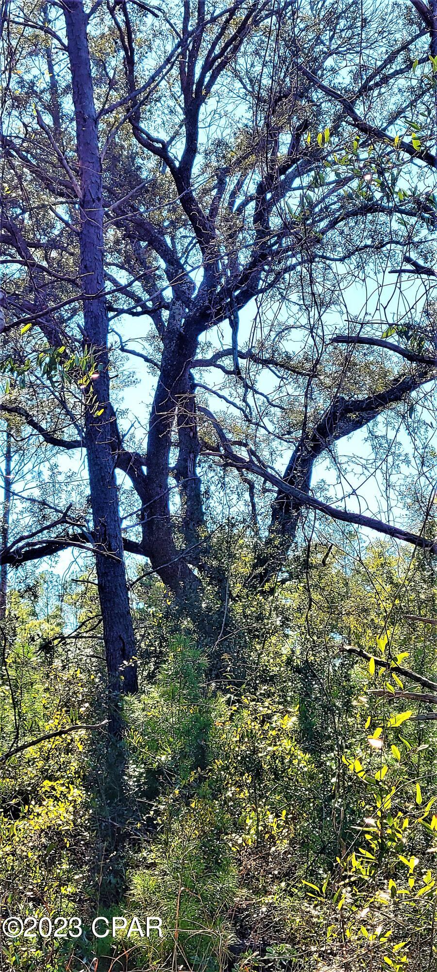 Long Lake Ridge - Land