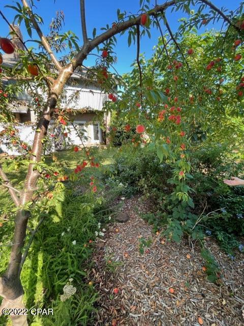 College Point - Residential