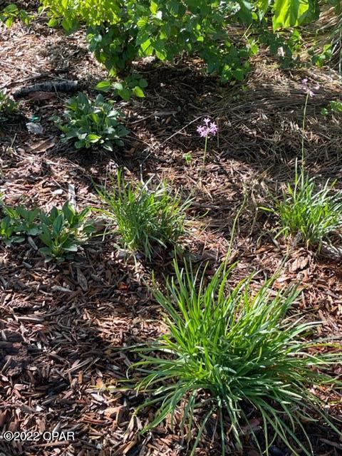 College Point - Residential