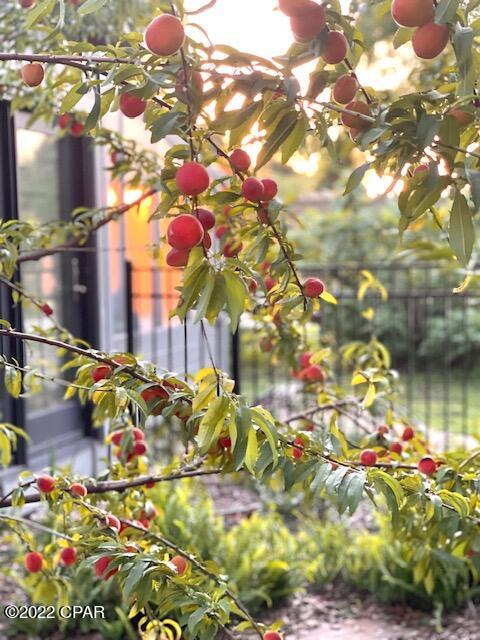 College Point - Residential