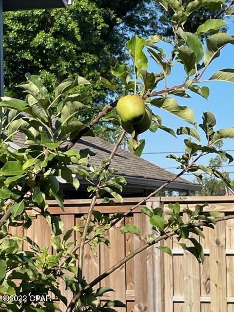 College Point - Residential