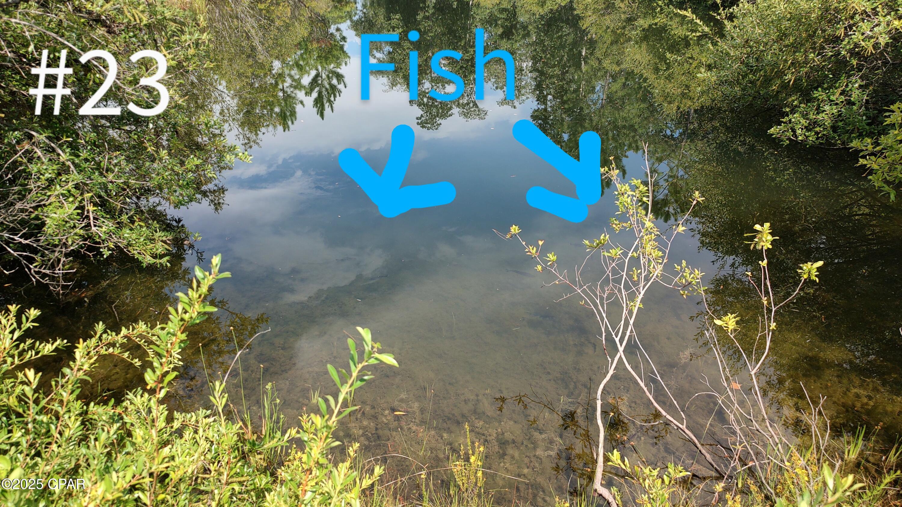 [No Recorded Subdiv] - Land