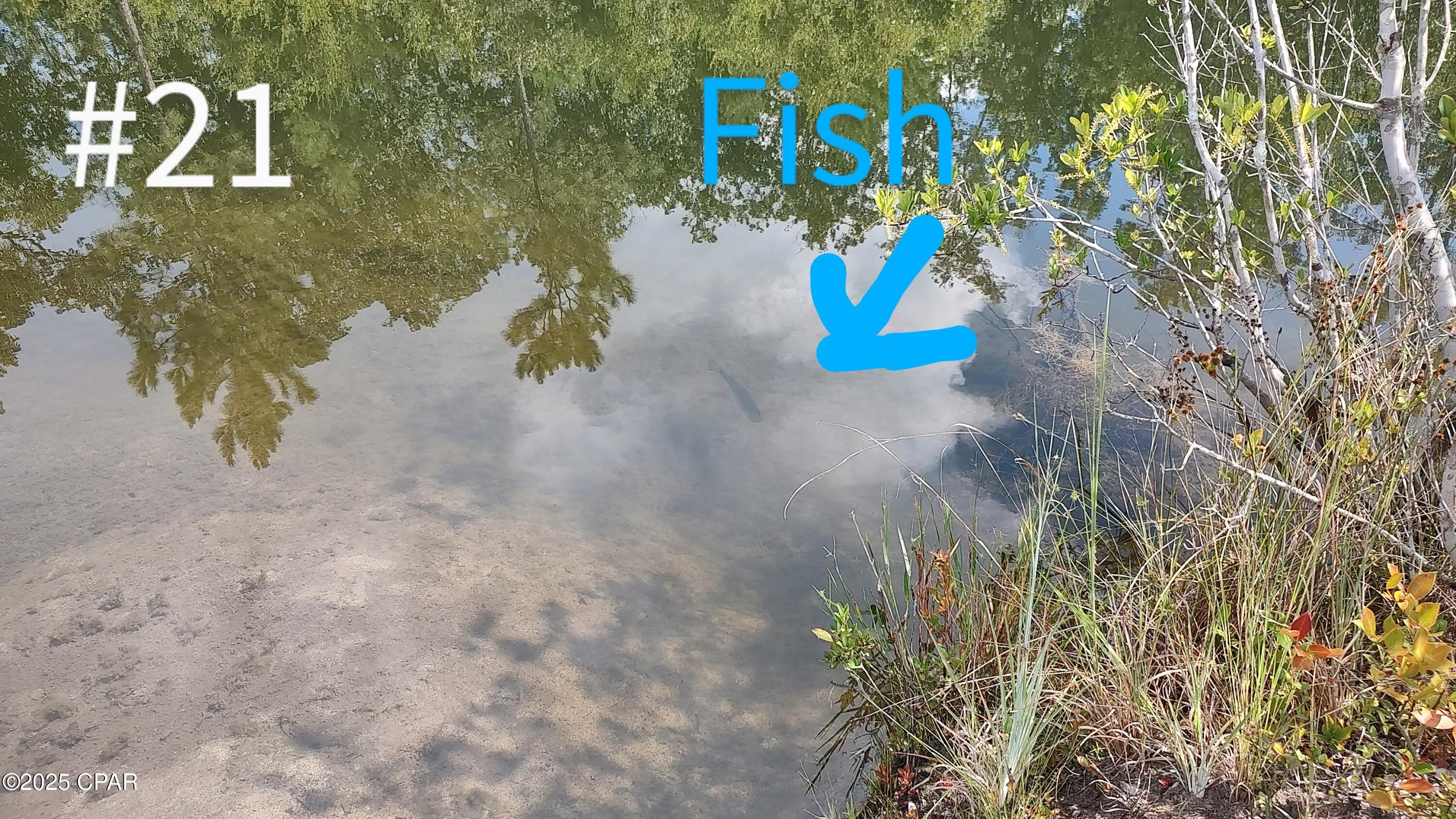 [No Recorded Subdiv] - Land