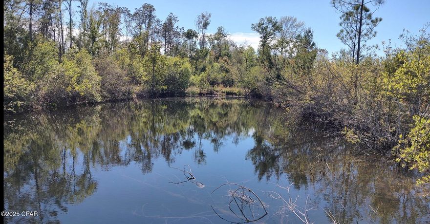 Don't miss your chance to own 9.85 acres in Northern Bay County! This gorgeous property has approximately 5 acres that have been cleared and it's ready for you dream home! There is a spring fed pond that would make a lovely centerpiece for your backyard oasis. Bring your horses, chickens & goats- whatever your heart desires.  Have a garden and/or nursery- your options are endless!  Go and walk this beautiful property today! Please text the listing agent for gate code to access the property.  Survey was done to include a new 30 foot easement access. See in pictures. A current permit to clear the easement has been filed.  An easement agreement has been drawn up and signed  by the two land owners that will share the easement access and maintenance responsibility.   All measurements approximate- please verify if important.