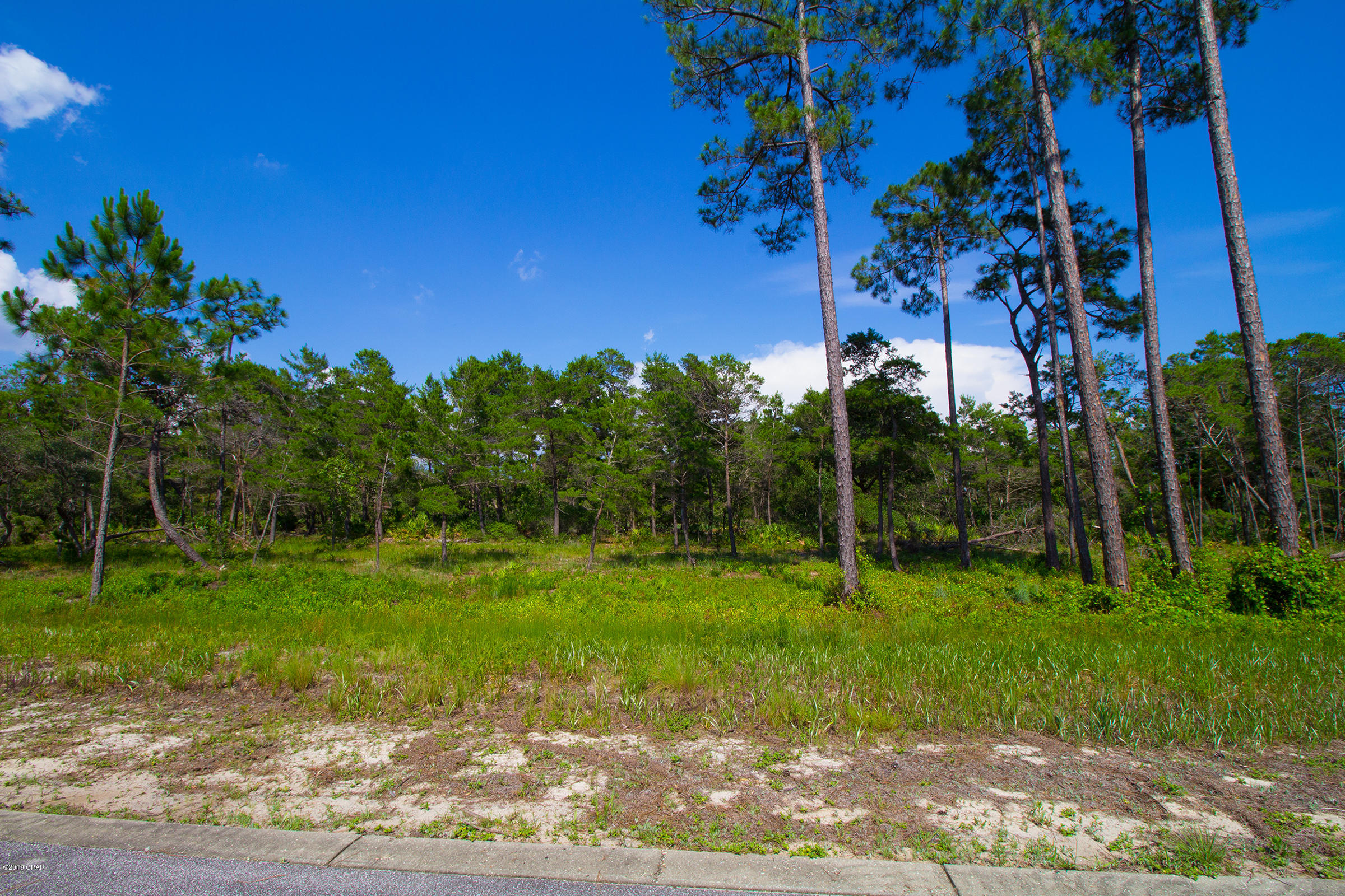 Wild Heron Phase VII - Land