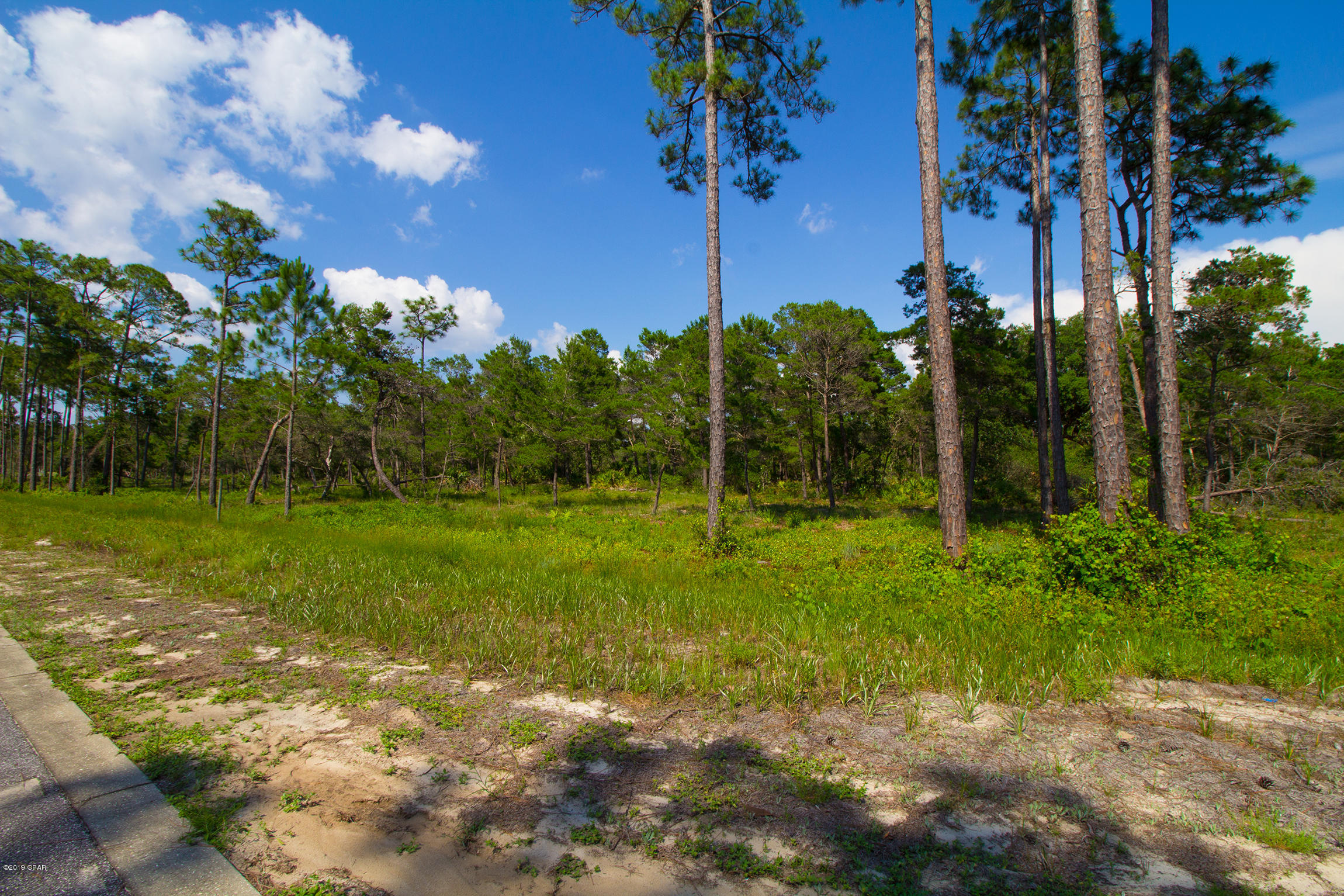 Wild Heron Phase VII - Land