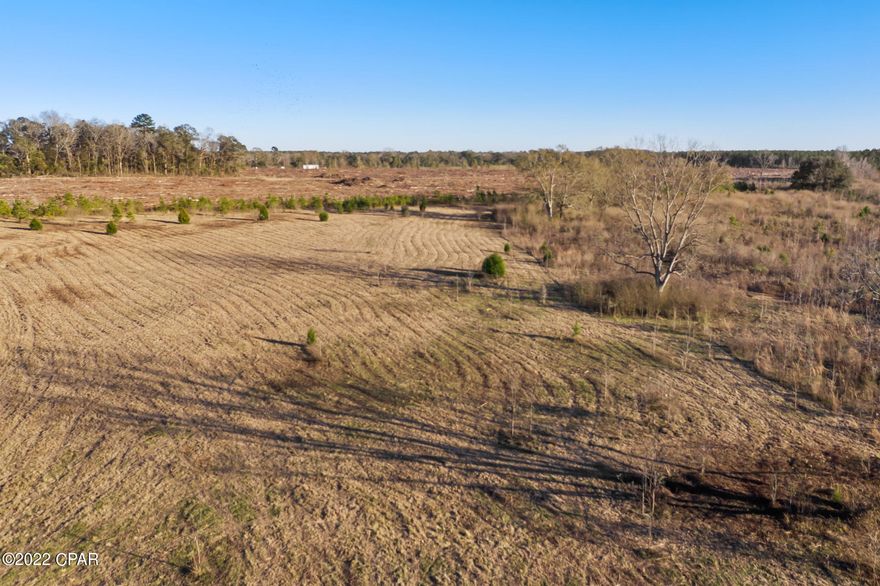 WOW!  This parcel is over 40 acres and is ready for its new owner.  The property features a well and septic.  This parcel would be a great home site!  This is a must see!