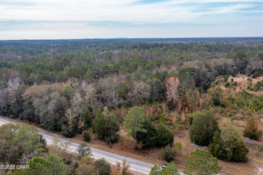 8 acre parcel with endless possibilities.  This property is located on a paved road.  Would be a great place for recreation, a mobile home, or to build your dream home!