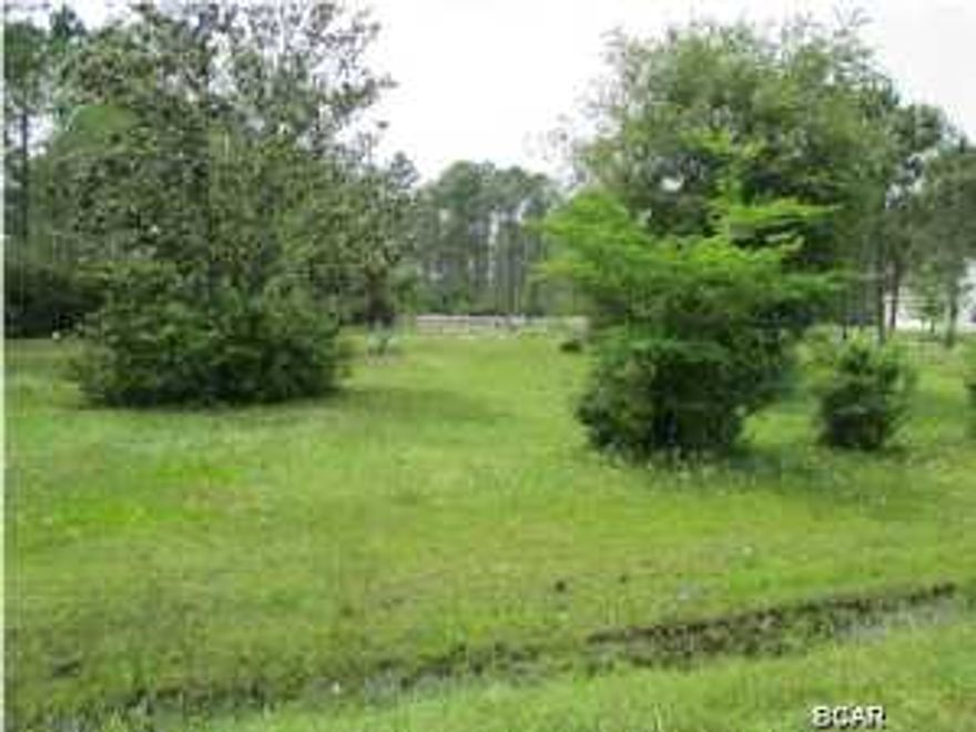 Beautiful 1 acre lot surrounded by great homes and wonderful neighbors. The property includes many beautiful trees and already has an in ground pool. Build your dream home here and still have plenty of room to grow while enjoying the benefits of being close to shopping and schools. The property is about a mile from a boat ramp and is a short walk to Sandy Creek Air Park. Bring your boat or your airplane... or both.