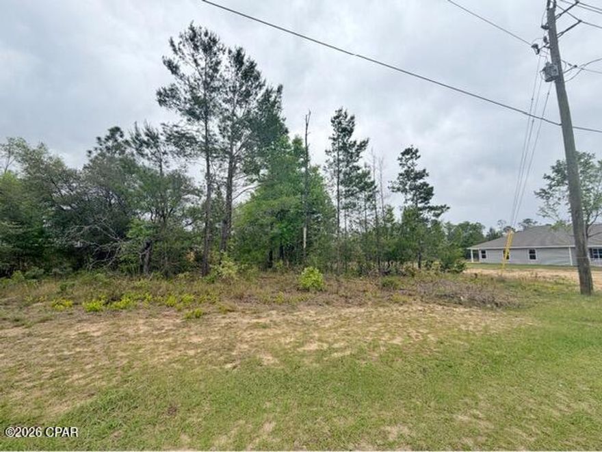 Positioned in the growing Sunny Hills community, this +/- 0.294-acre vacant lot presents an excellent opportunity to create your ideal home or secure a smart investment. 

Enjoy the advantage of a central location, with the airport roughly 25 minutes away and the beautiful beaches of Panama City Beach just a short 35-minute drive. Whether you're planning to build now or hold for future value, this property combines peaceful surroundings with easy access to the best of the area.