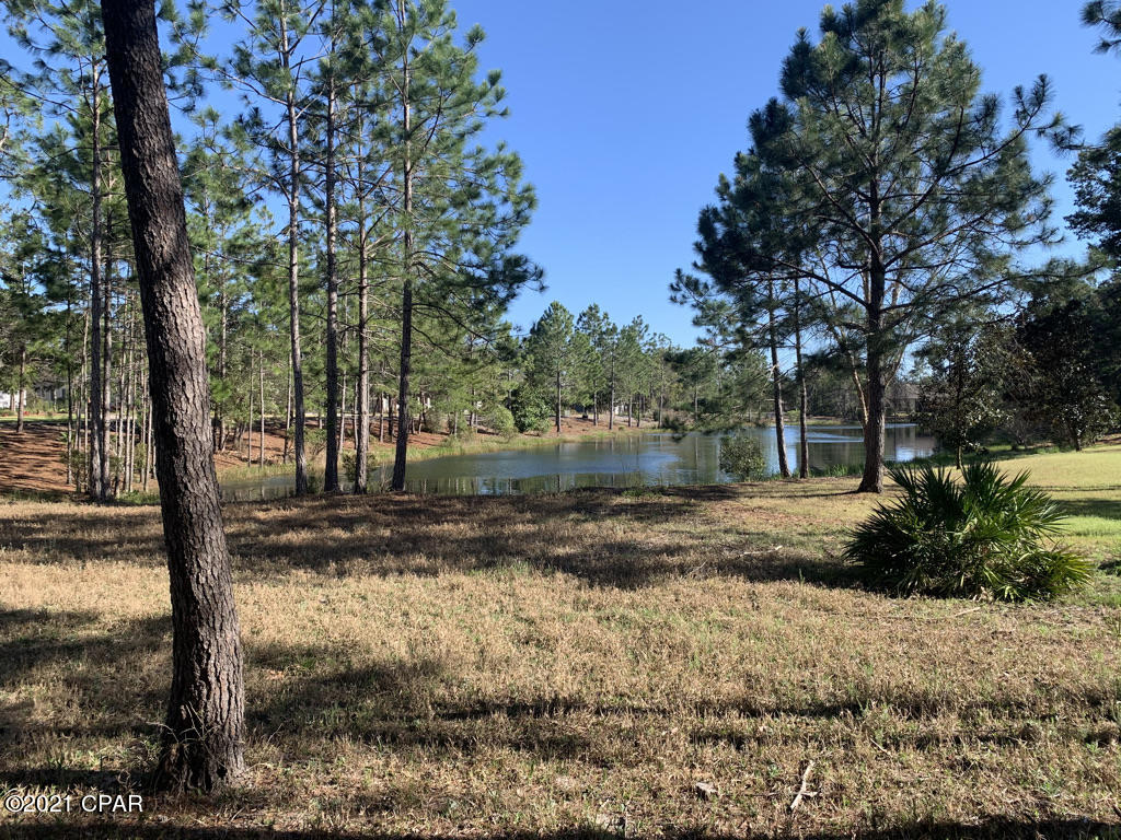 Wild Heron Phase V - Land