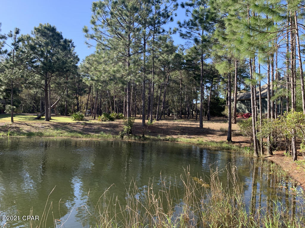 Wild Heron Phase V - Land