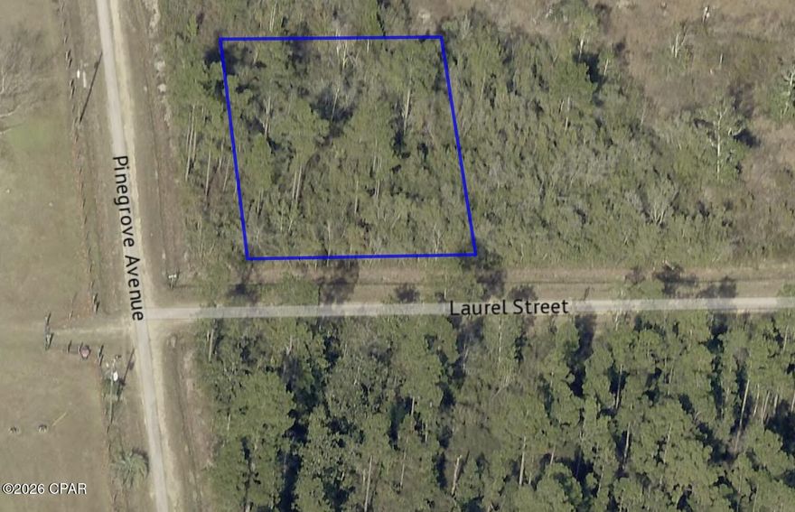Affordable vacant lot in the peaceful community of Fountain, Florida! This 91' x 135' property, zoned R-2, is perfect for a single-family home or mobile home, giving you flexible options to build or place your next residence. Enjoy quiet rural living with convenient access to Hwy 231. Whether you're a first-time buyer, investor, or looking for a future homesite, this lot offers excellent potential at a great price. Owner financing available! This is a fantastic opportunity to secure land without the hassle of traditional lending--easy terms and a smooth process for qualified buyers. Property Highlights: 91' x 135' lot in growing Fountain, FL, R-2 zoning allows single-family homes or mobile homes, Peaceful area with room to grow, Owner financing available, Ideal for investors, builders, or affordable living plans. Don't miss your chance to own land with flexible financing options--start building your future today.