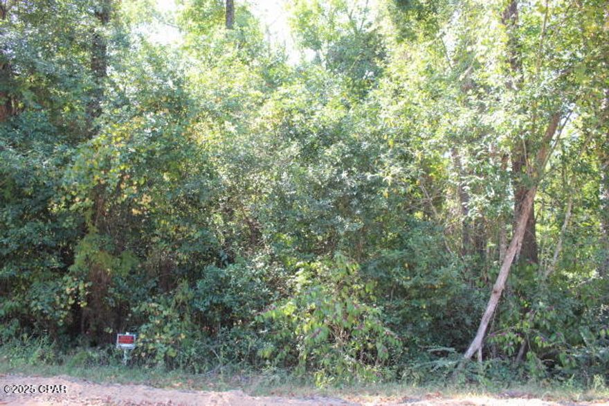 1.33 acre wooded. Close drive to State Rd 12. City Water & Sewer is available.  Mobile homes are welcome.