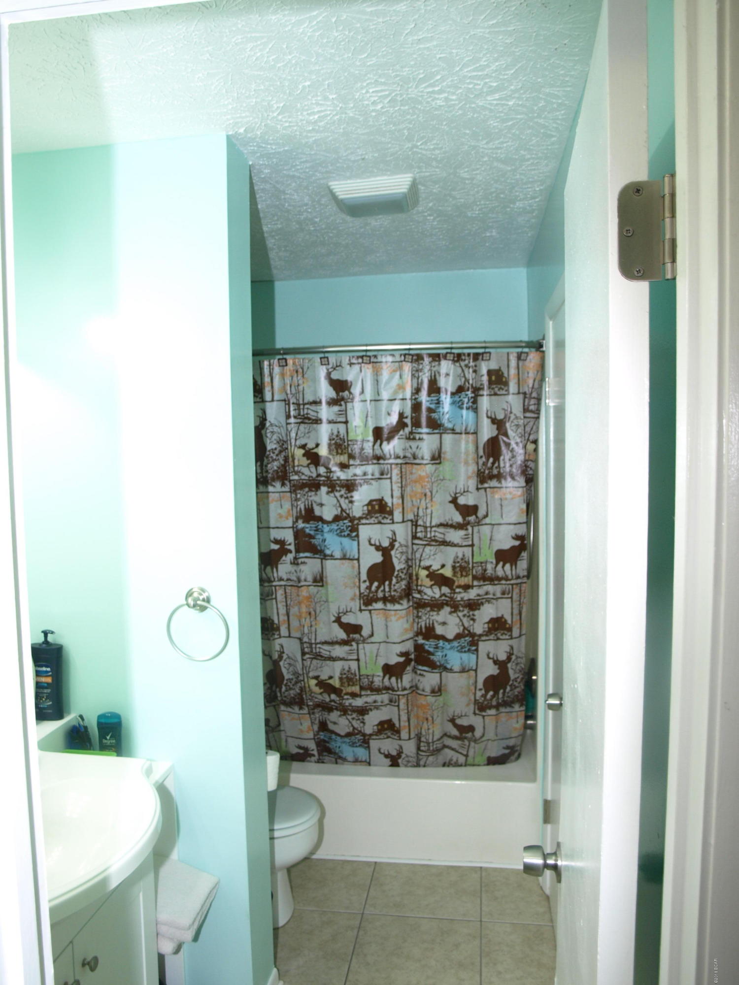 Venetian Villa - Residential