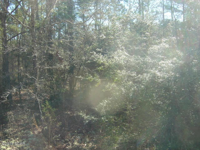 Compass Lake Hills Unit 2 - Land