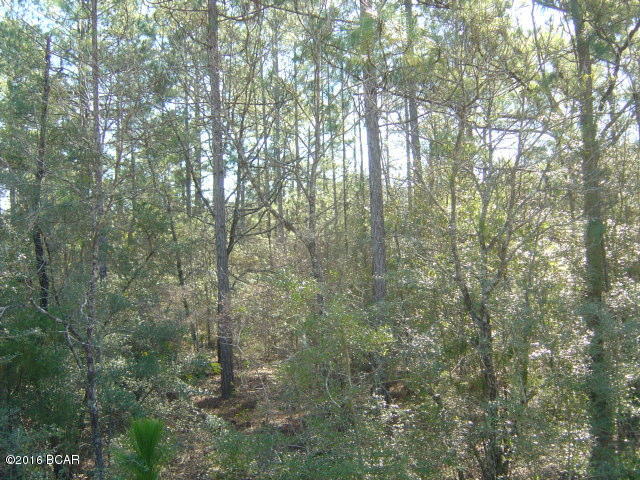 Compass Lake Hills Unit 2 - Land