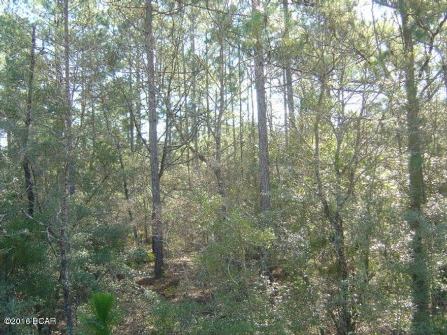 Nice lot in Compass Lake in the Hills with all the amenities of Compass Lake in the Hills.
