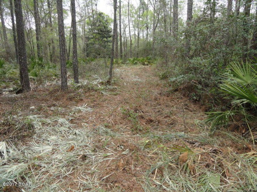 Nice level wood lot.  Beautiful Magnolia, Oak , Pine trees. Across the street from Mirror Lake. Rectangle in shape.  Wood make a nice home site and could be secluded. Paved road frontage.  

Calhoun County