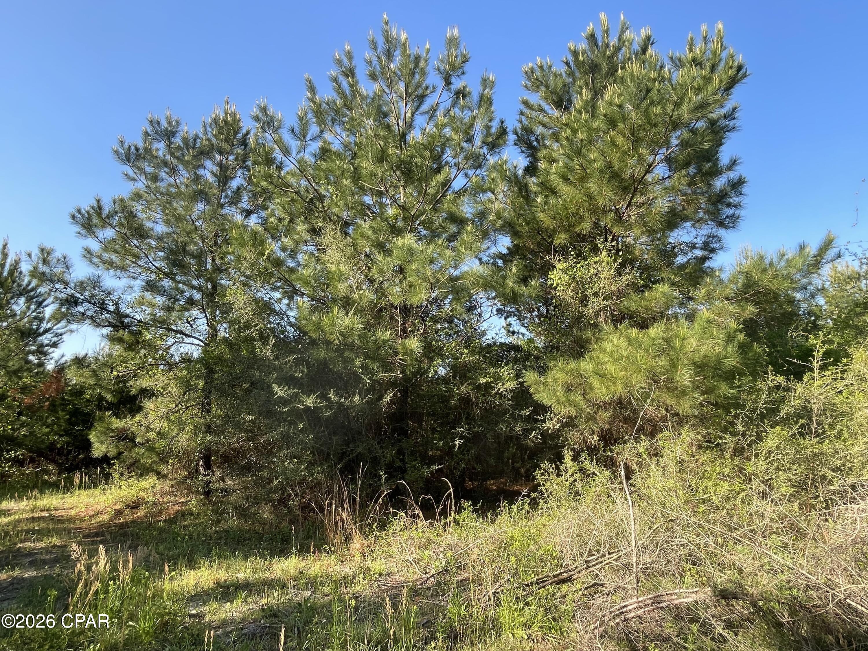 [No Recorded Subdiv] - Land