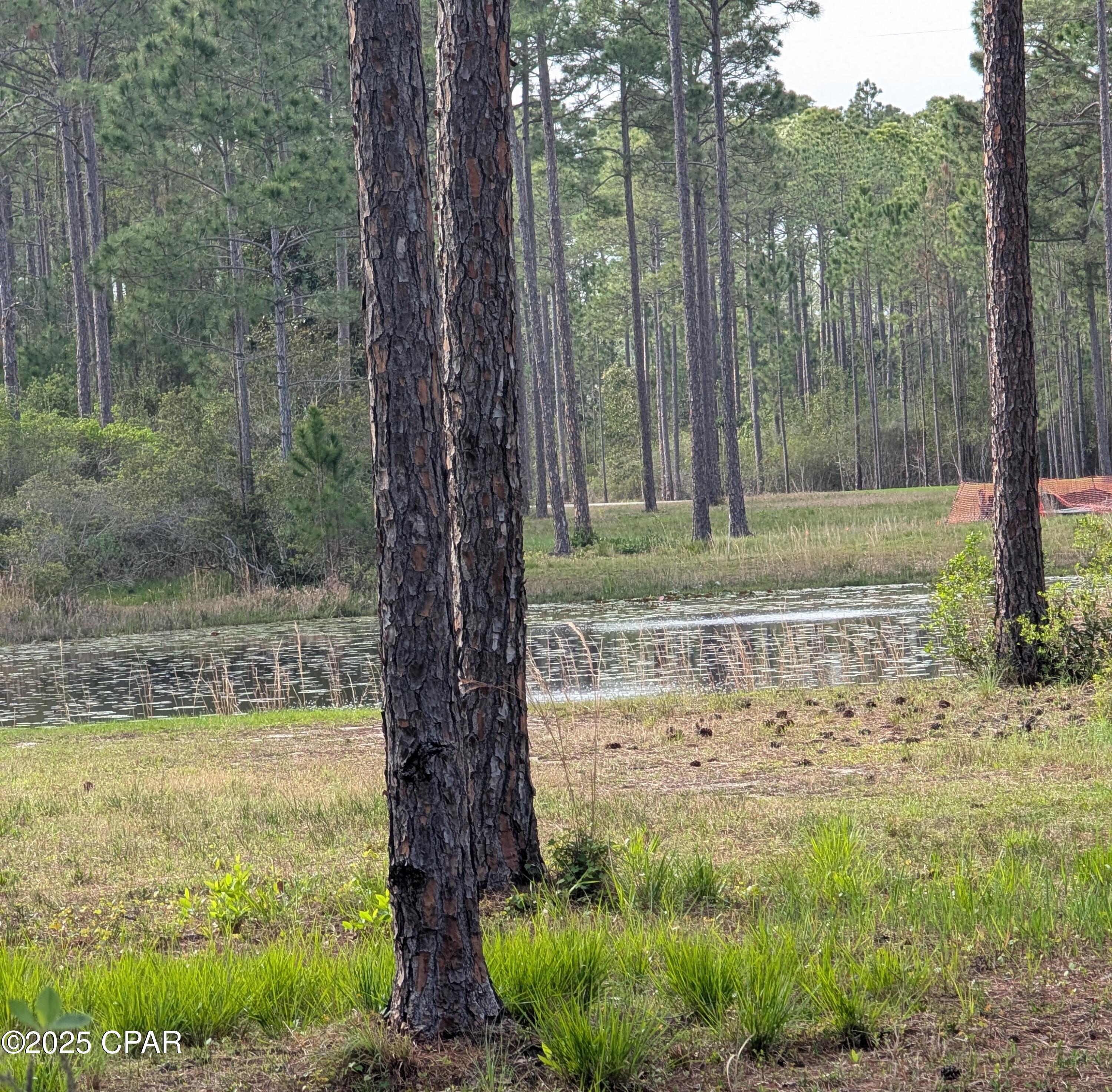 Rivercamps On Crooked Creek - Land