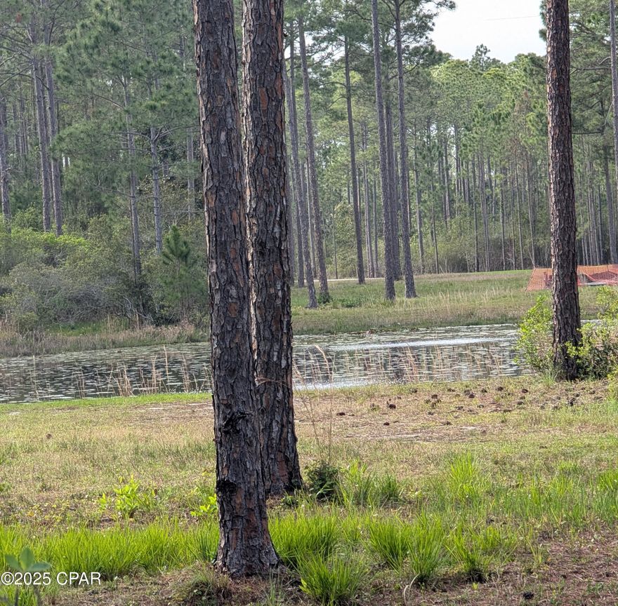 This 1.08-acre pond Lot is priced to sell immediately! You simply will not find a better deal in RiverCamps. Ready for your custom built, dream home. Bring your own builder, or listing agent can assist putting you in touch with a 'one-stop-shop' designer, builder and engineer experienced in building in RiverCamps. Lot has a huge buildable area and is located on a beautiful pond quietly nestled in the 1500-acre nature preserve of RiverCamps on Crooked Creek. With less than 450 homesites located on 500 acres and surrounded by 1000 acres committed to preservation RiverCamps is the outdoor enthusiast's dream.  This waterfront community is located on the banks of West Bay, the IntraCoastal Waterway and Crooked Creek. Owners have their own community boat ramp with a 30-minute boat ride to Shell Island and the Gulf. There is dry-boat storage, day-use boat slips, over 7 miles of trails and a new pool and pavilion opening this summer. RiverCamps is conveniently located near the NW Florida Beaches Airport, only 10 miles from Pier Park and the famous white sandy beaches making it close to everything yet far from the traffic and crowds.