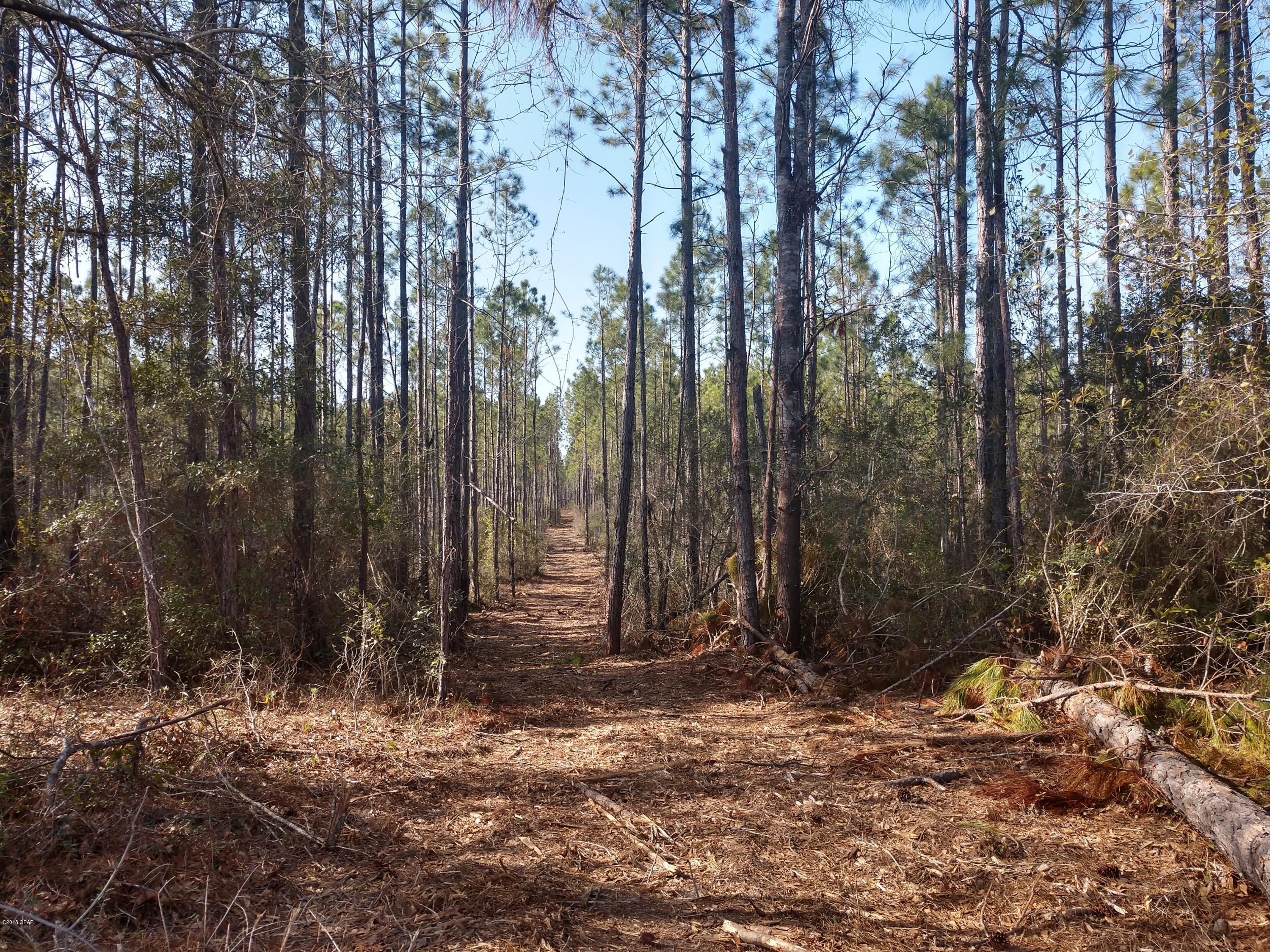 No Named Subdivision - Land