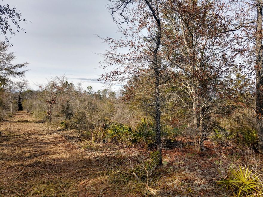 20 acre parcel on Hwy 388. Fully wooded with lots of oaks. The property has 660′ of frontage on Hwy 388 and is 1/4 mile deep. Great property for hunting, horses, or a secluded homesite 8 miles from Lynn haven and 25 minutes from Pier Park. This listing is for parcels 1 and 2 together, Parcels 1 and 2 total 20 acres