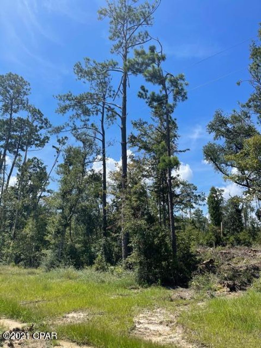 UNDER CONTRACT SELLER ACCEPTING BACKUP OFFERS  8.05 acre wooded lot outside of the city limits. Some clearing started but not completed. This parcel is zoned rural residential, which is ideal for your dream homestead, or multi-generational families, wishing to have more than one home on a parcel. (One home per acre allowed, no restrictions on home type)