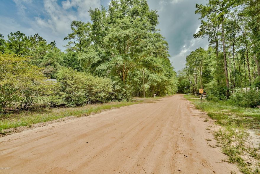 Have you been searching for the perfect homesite to build your new home in Ponce De Leon? This wooded lot in Blue Creek Estates offers a peaceful, private setting just minutes from I-10, combining the convenience of easy access with the tranquility of a secluded community...all with no HOA.

Designed for traditional residential construction, mobile and modular homes are not permitted, helping preserve the character and long-term value of the neighborhood.

Whether you're dreaming of a quiet retreat, a full-time residence, or a place to create something truly your own, this location provides the space and setting to bring it to life.

As always, buyers are encouraged to verify all items deemed important, including acreage, lot dimensions, and taxes.