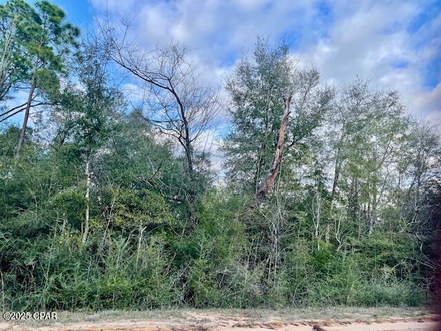 Compass Lake Hills Unit 3 - Land