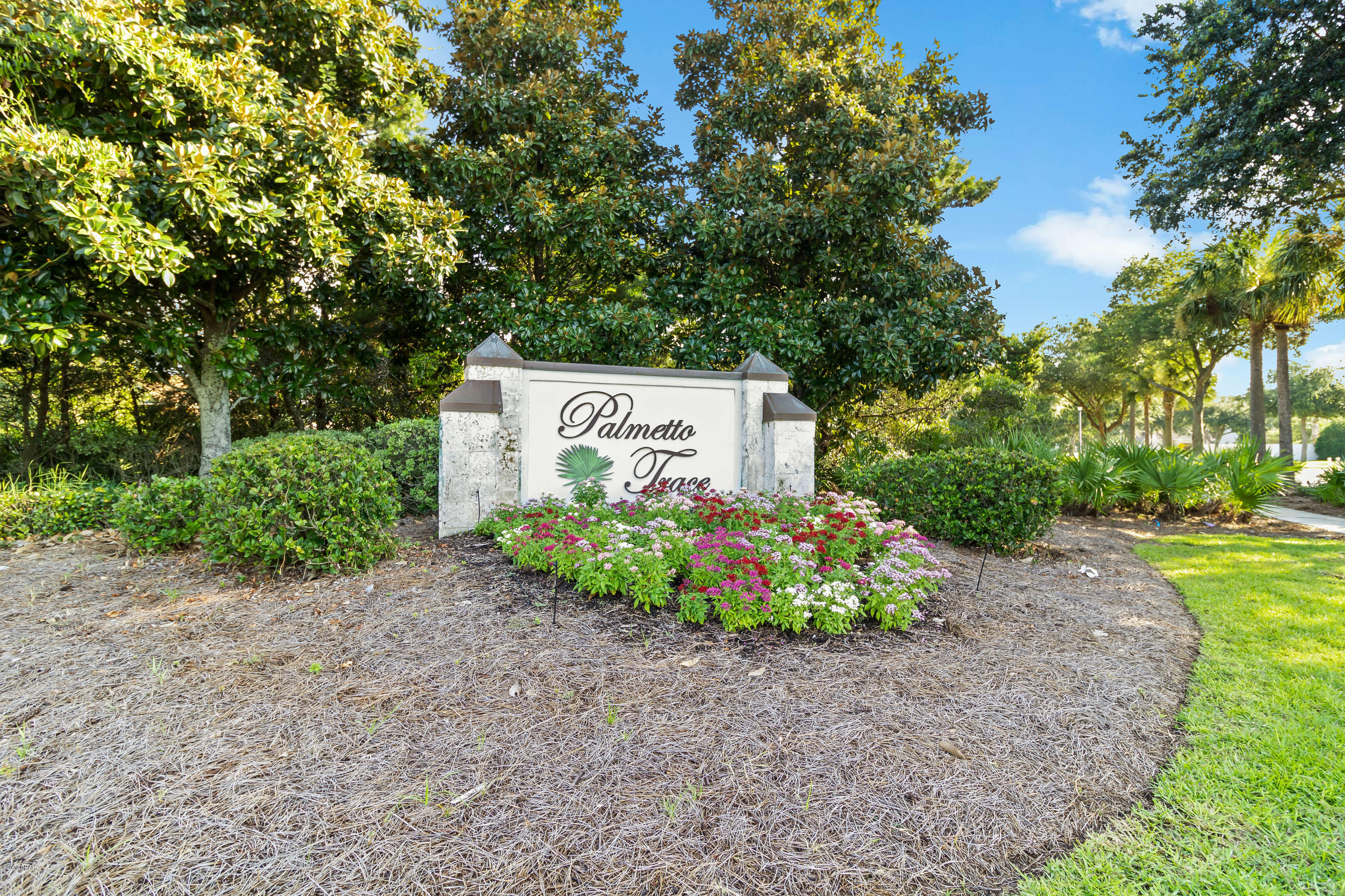 Palmetto Trace Phase 1 - Residential