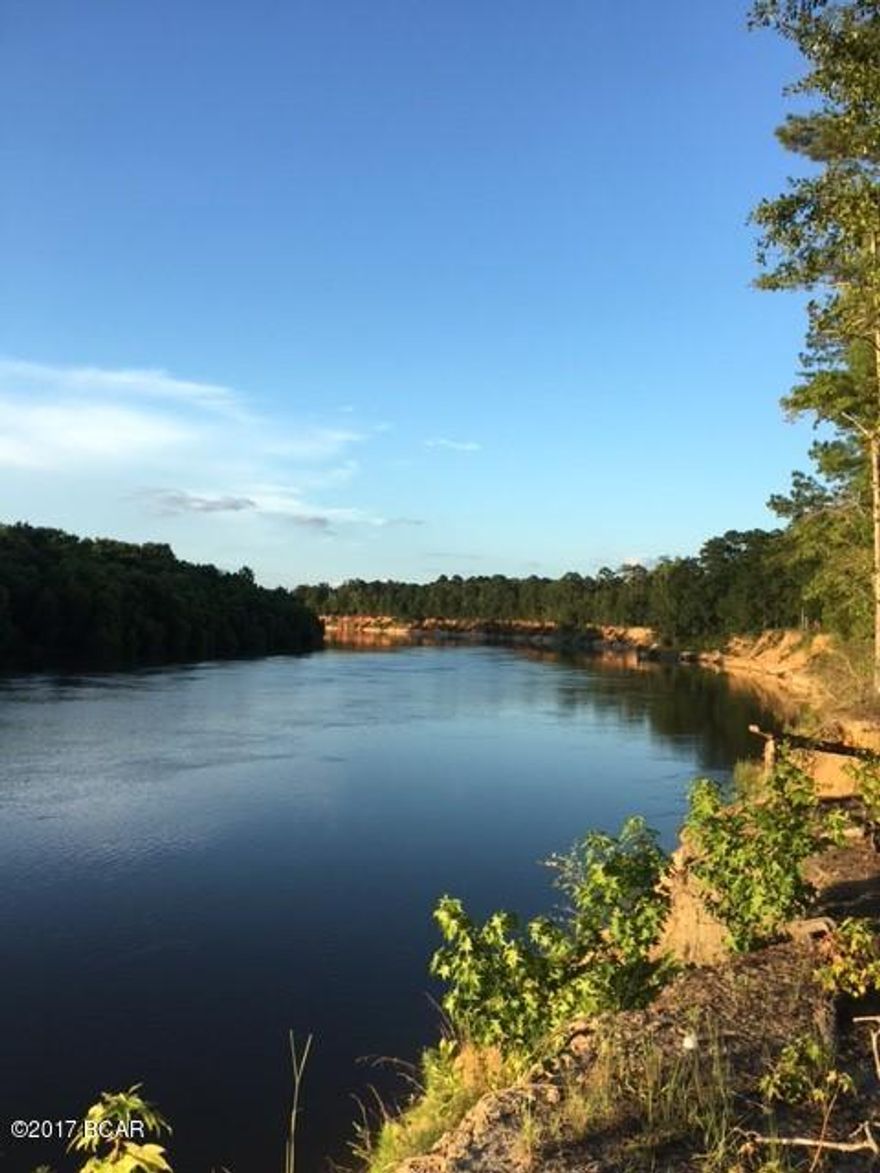 Beautiful high and dry land overlooking the Apalachicola river. Land has many very pines. High river front not in flood zone according to seller (see documents).  Land is only  about 300 yards from public boat ramp.  County owns land to the north side and land to the south side undeveloped.  This is a unique opportunity to own land on the ''Big River''.  Access off of paved hwy 333.