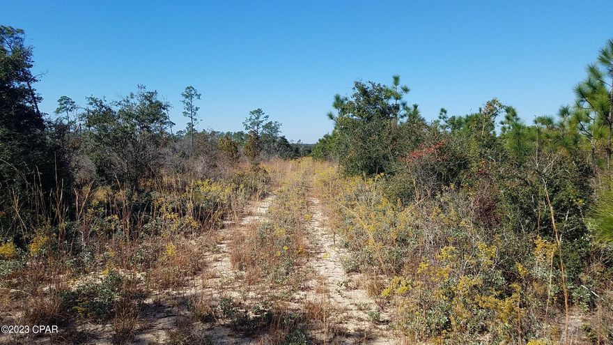 ***AGENTS SEE REALTOR REMARKS***2 vacant wooded lots (separate parcel numbers, but being sold together) with combined acerage of 11.87 acres is ready to be yours! So much potential here with endless possibilities, SEE IT TODAY! Property is sold as-is, where is. Buyer to do their own due diligence and verify property information. Lot sizes are approximate. Buyer to verify.