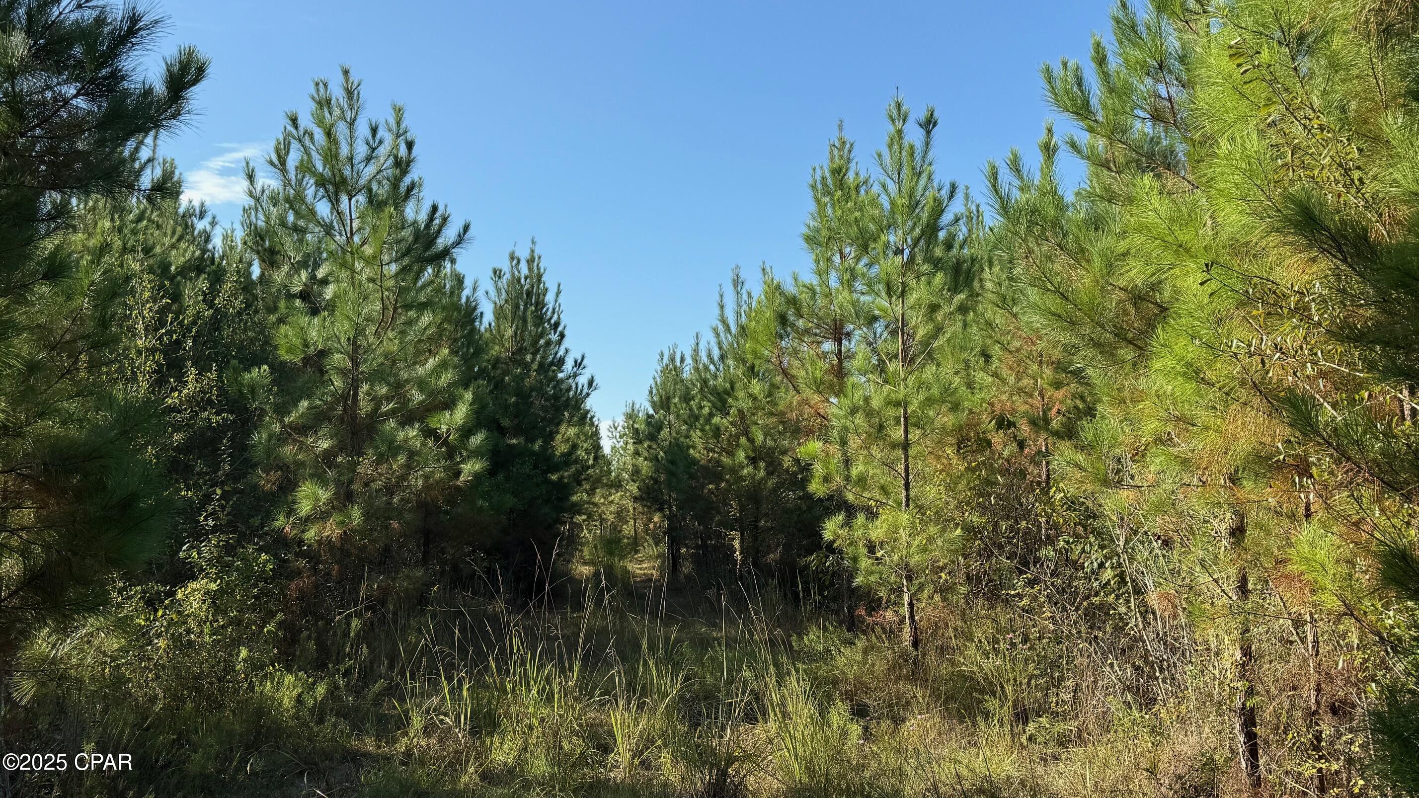 [No Recorded Subdiv] - Land