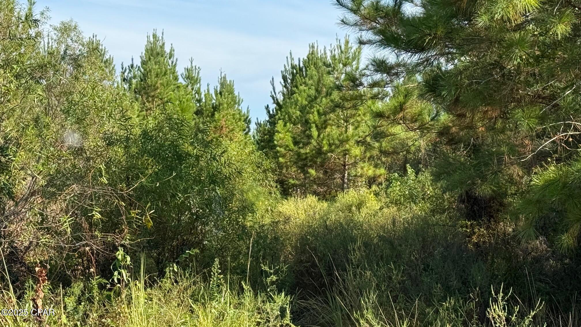 [No Recorded Subdiv] - Land