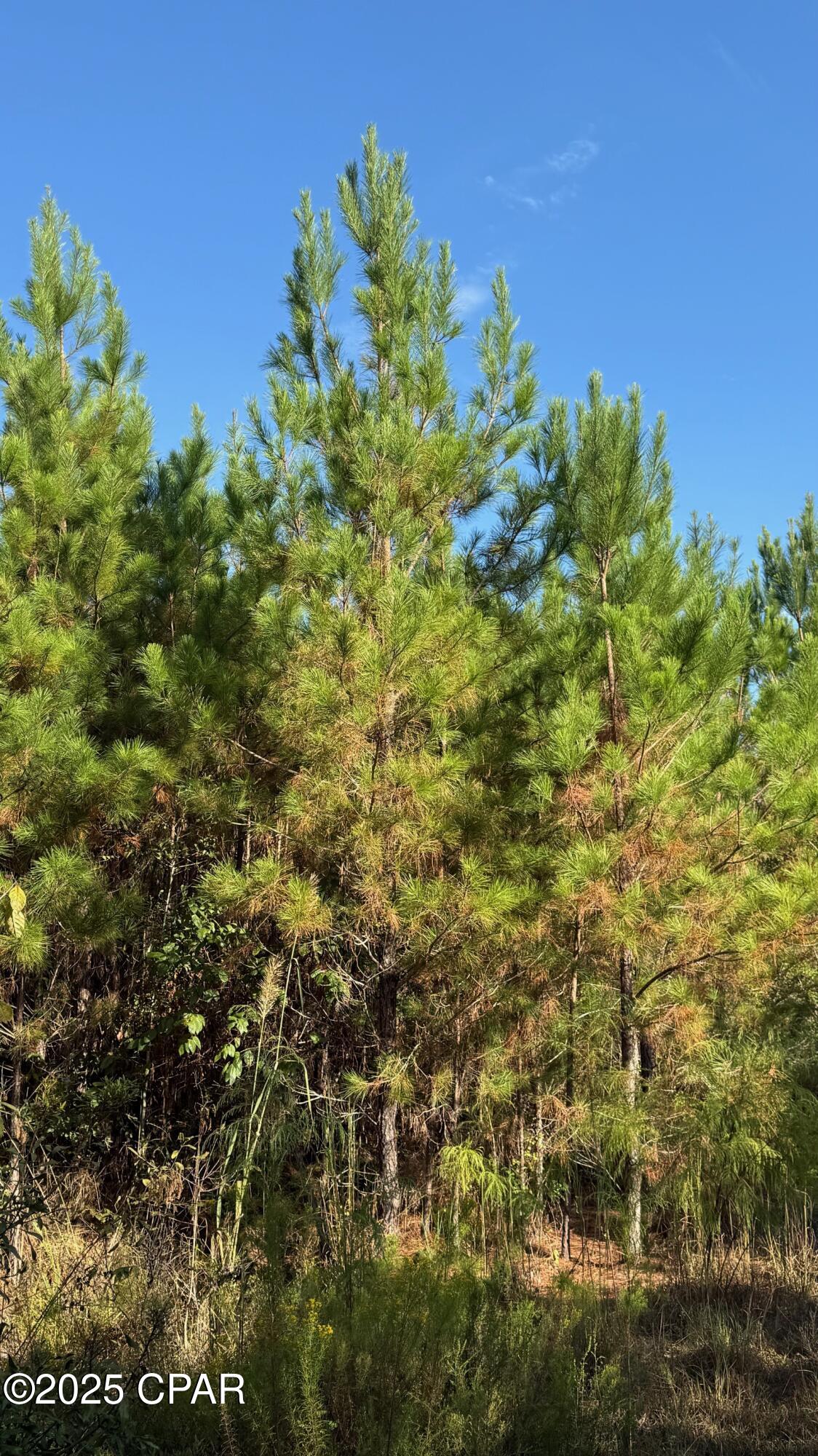 [No Recorded Subdiv] - Land