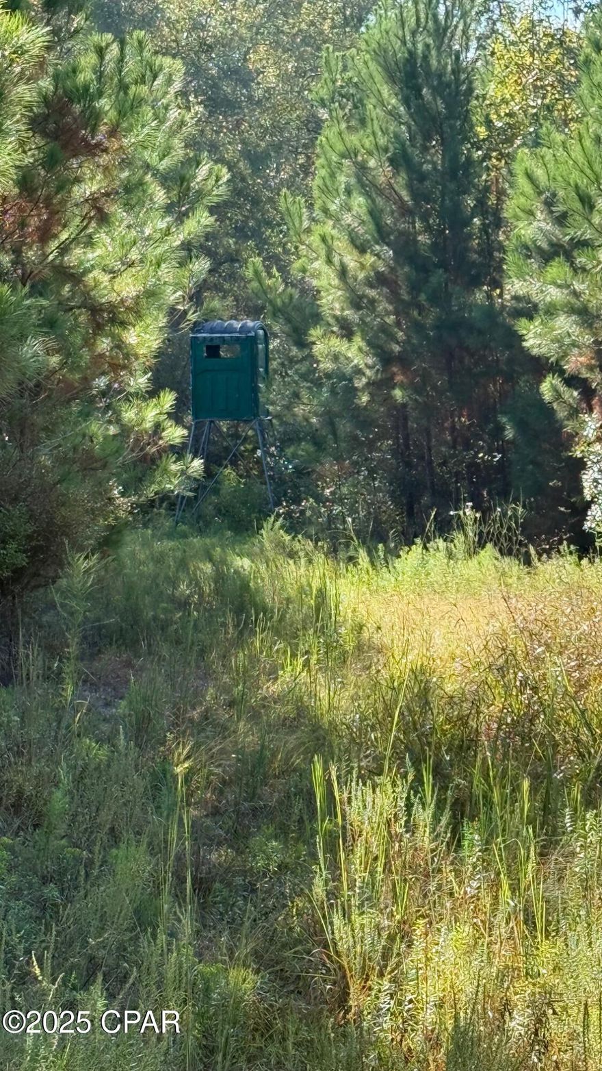 This 114 acres of timberland is a good deer hunting tract. Located just east of Graceville near Rex Lumber. Stand 1 is 101 acres of 5 to 10 tear old Slash pine with a site index of 90. Stand 2 is 14 acres of natural hardwoods. The property fronts paved Hwy 2 with good access.