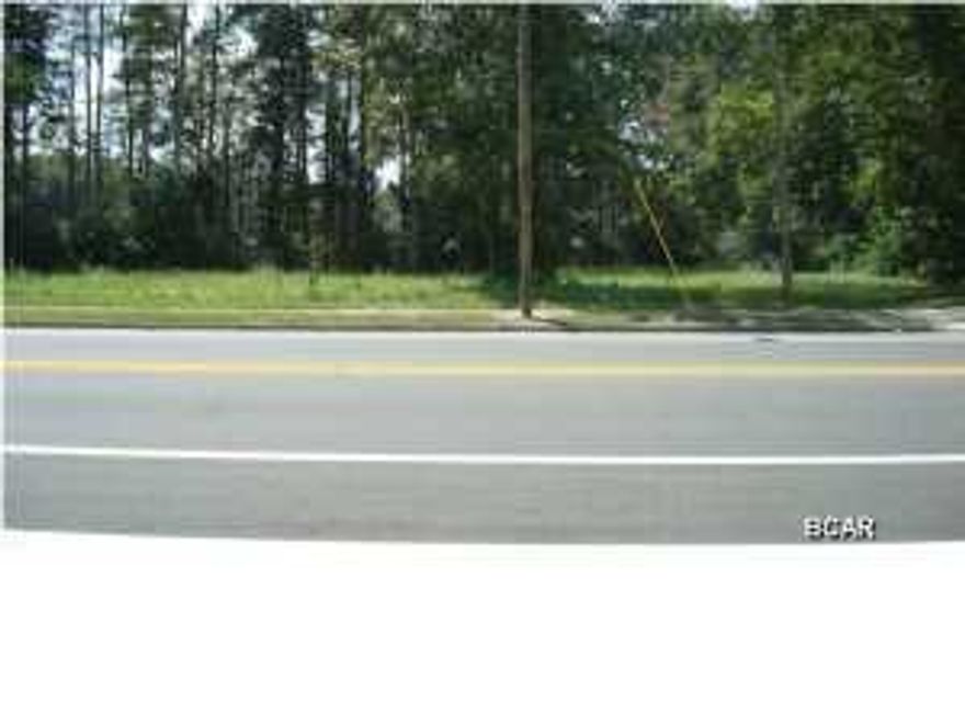 PRIME COMMERCIAL! Nice partial cleared lake front lot in Wewahitchka City Limits. Between The Post Office and Dixie Dandy on Lake Julia. Property could be used for many uses such as a restaurant or some type of store. The land size of the lot has approx. 150' frontage on Hwy. 22 x 176' x 82' on each side. The lot also extends into the lake approx.300'. OWNER WILL BUILD TO SUIT.