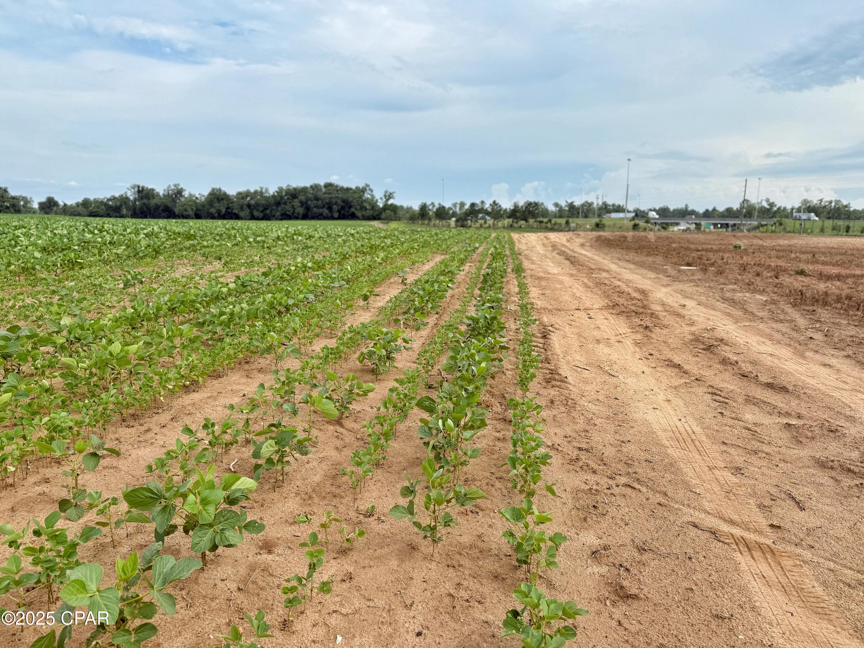 No Named Subdivision - Land