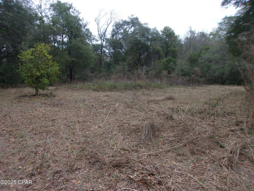 Discover your own slice of peaceful paradise with this beautiful 2.79-acre parcel in Bonifay, Florida! Nestled in a quiet, rural area of the Florida Panhandle, this high and dry land offers the perfect blank canvas for your dream home, mini-farm, or private retreat. Conveniently located off a paved road for easy access, yet far enough away for ultimate tranquility. Wildlife enthusiasts will love the opportunity for deer hunting right on your property—Holmes County is known for its healthy deer population and excellent hunting opportunities. Best of all, you're just about an hour's drive from the world-famous Panama City Beach—home to sugar-white sands, emerald waters, and stunning sunsets over the Gulf of Mexico. Enjoy the best of both worlds: serene country living with quick access to pristine beaches, fresh seafood, and endless coastal fun. The old home on the property holds no value and can be removed—the focus is all on this prime, buildable land! This gem won't last long, perfect for anyone seeking space, privacy, and that true Florida lifestyle. Contact us today to make it yours.