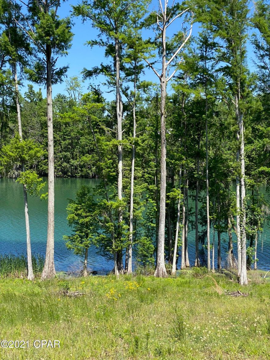 Waterfront lot on pristine Merritt's Mill Pond in Marianna, FL. This is a flowing spring fed pond that is perfect for water and nature lovers. This is a great spot for your dream home on the the crystal clear mill pond. The lot has been cleared and boundary lines are already marked with white stakes. Approximately 120 feet water-frontage.