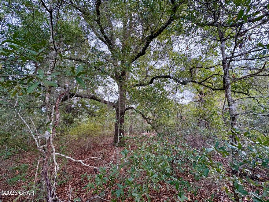 1.2+/- acre lot located just off of Hwy 231! Very convenient. Compass Lake in the Hills is a deed restricted subdivision located off of Highway 231 in Jackson County. A recent ordinance change of the restrictions allows for manufactured homes in the subdivision, opening up the possibilities beyond just building. For HOA members, the community features disk golf, a driving range, swimming pool, camping, waterfront restaurants, and multiple freshwater lakes, with the best one being Compass Lake. Compass Lake is a gorgeous spring-fed lake that is loved for boating, fishing, and water-skiing. On McCormick Lake there are two beach areas with water toys, a clubhouse, and two covered pavilions available for rent. McCormick Lake is an exclusive facility only available to members and their guests. There are fishing boats, fun yaks, and a beautiful beach on a serene lake. No gasoline engines are allowed on that lake, but boats with electric motors are. Enjoy the slower pace of life this community offers while being less than an hour from Panama City Beach! Seller will pay for the owner's title policy/buyer's closing costs relating to title with acceptable offer.