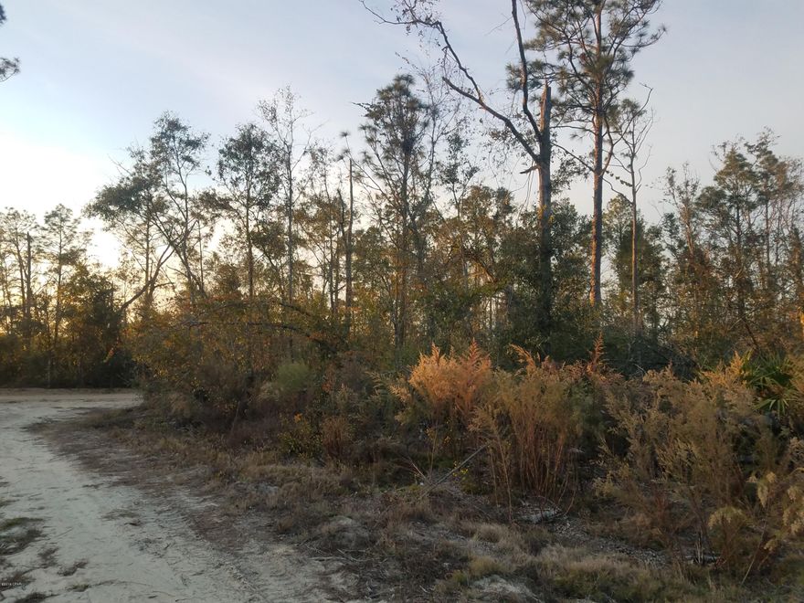 *No Deed restrictions*  Great wooded corner lot.  Priced to sell.