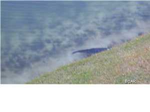 Sugar Beach Condo - Residential