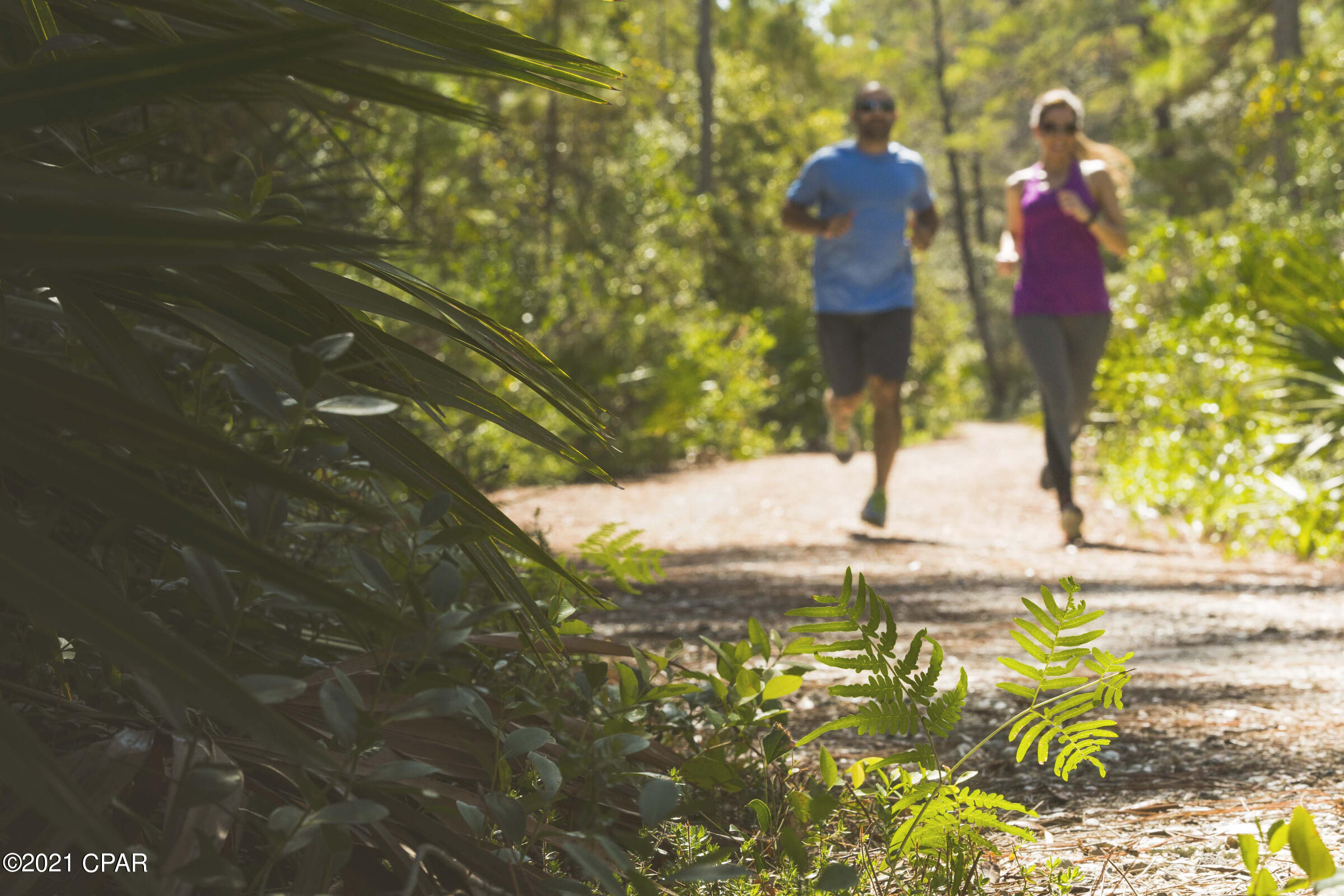 Sweetbay - Residential