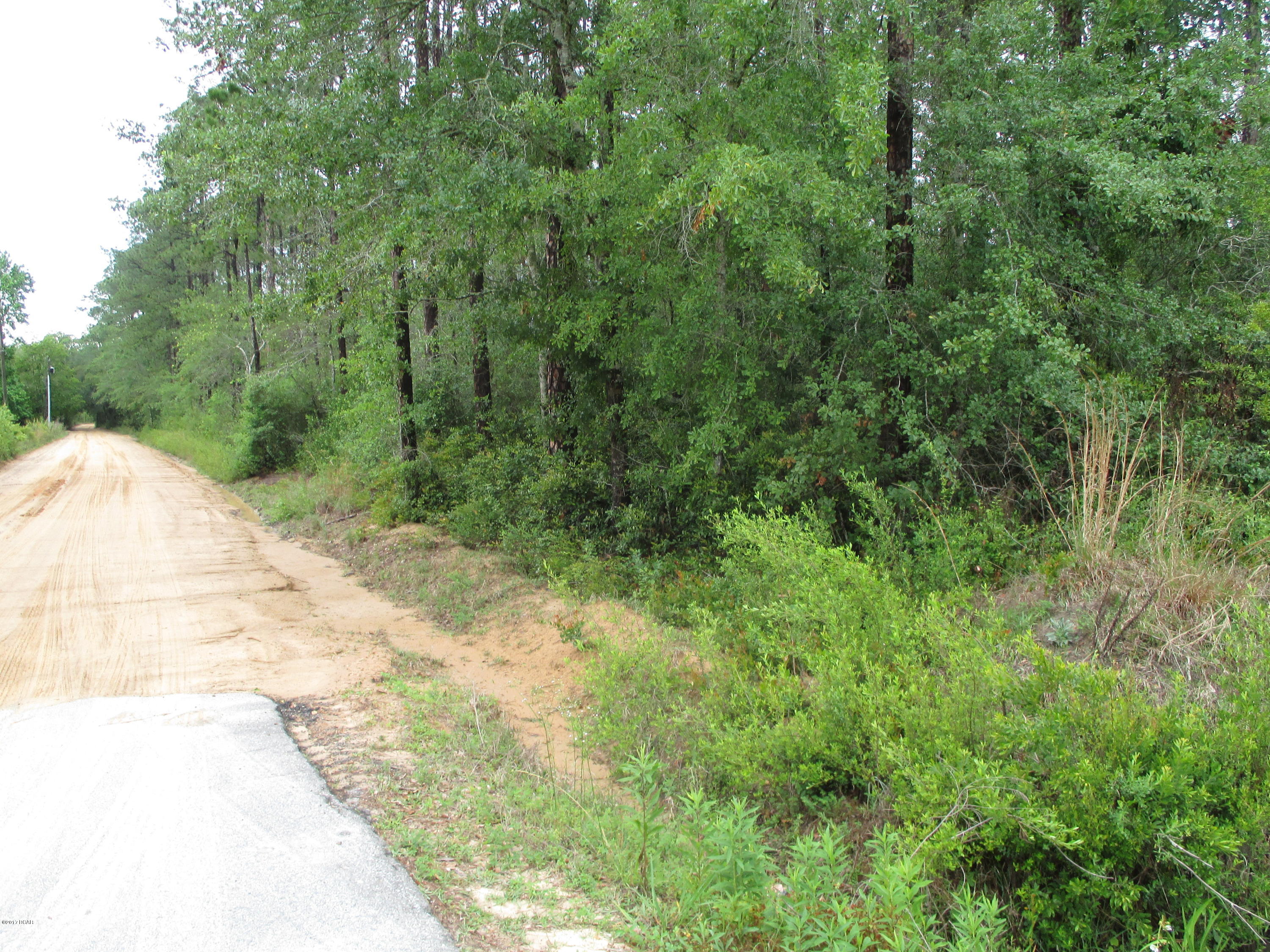 Sunny Acres Farm - Land