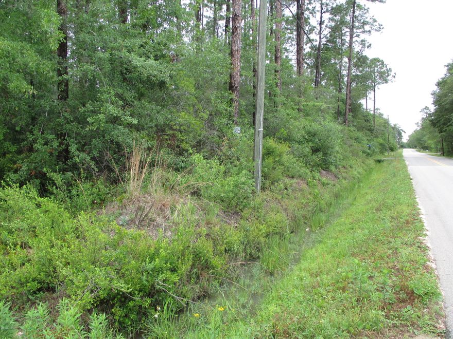 This 5 acre parcel on a paved road would make a great home site.  It is far enough off of 231 that traffic noise is not an issue but close enough for quick access to town.  The Bear Creek community is just 15 minutes from town and is a wonderful place to raise a family or spend your retirement years.