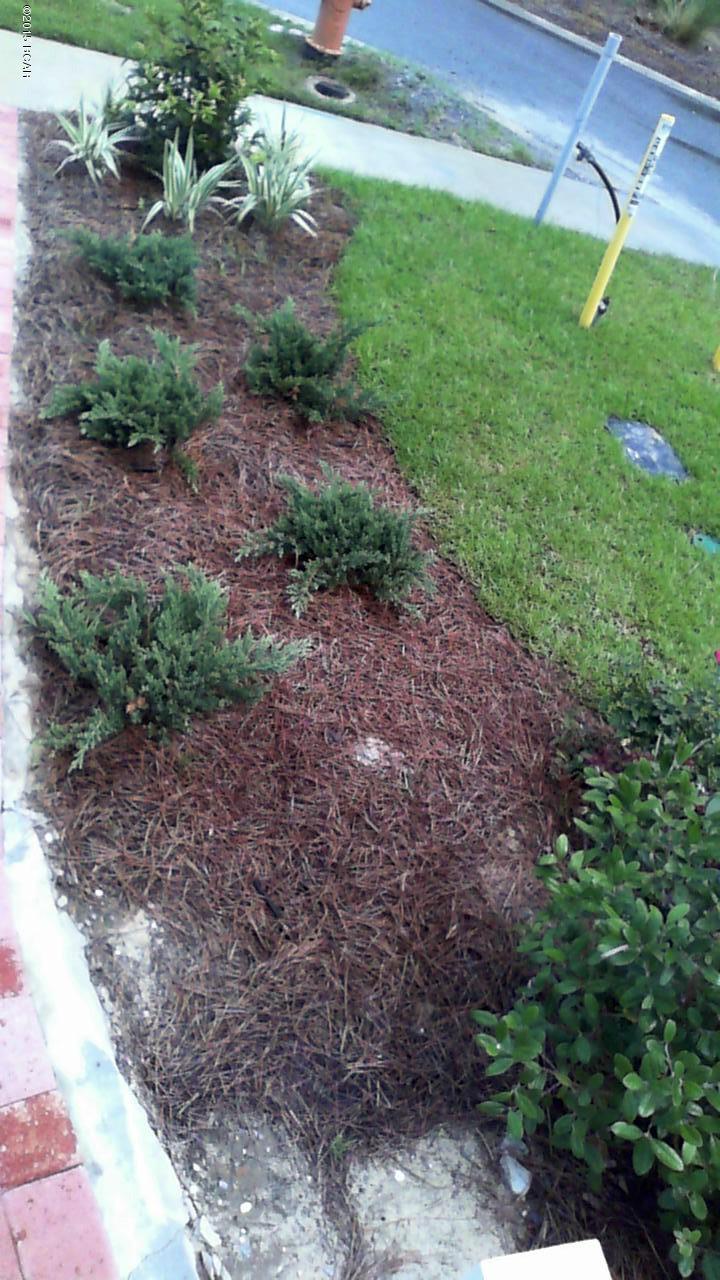 Magnolia Bay Club - Residential