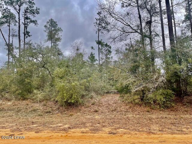 Compass Lake Hills Unit 3 - Land